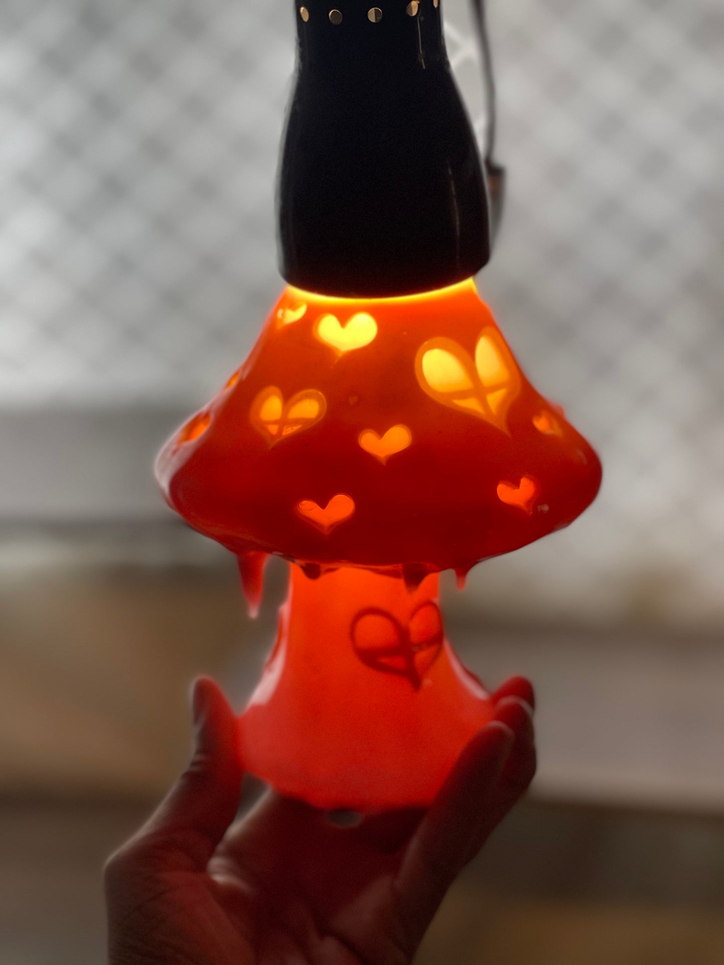 Lovely Toadstool House