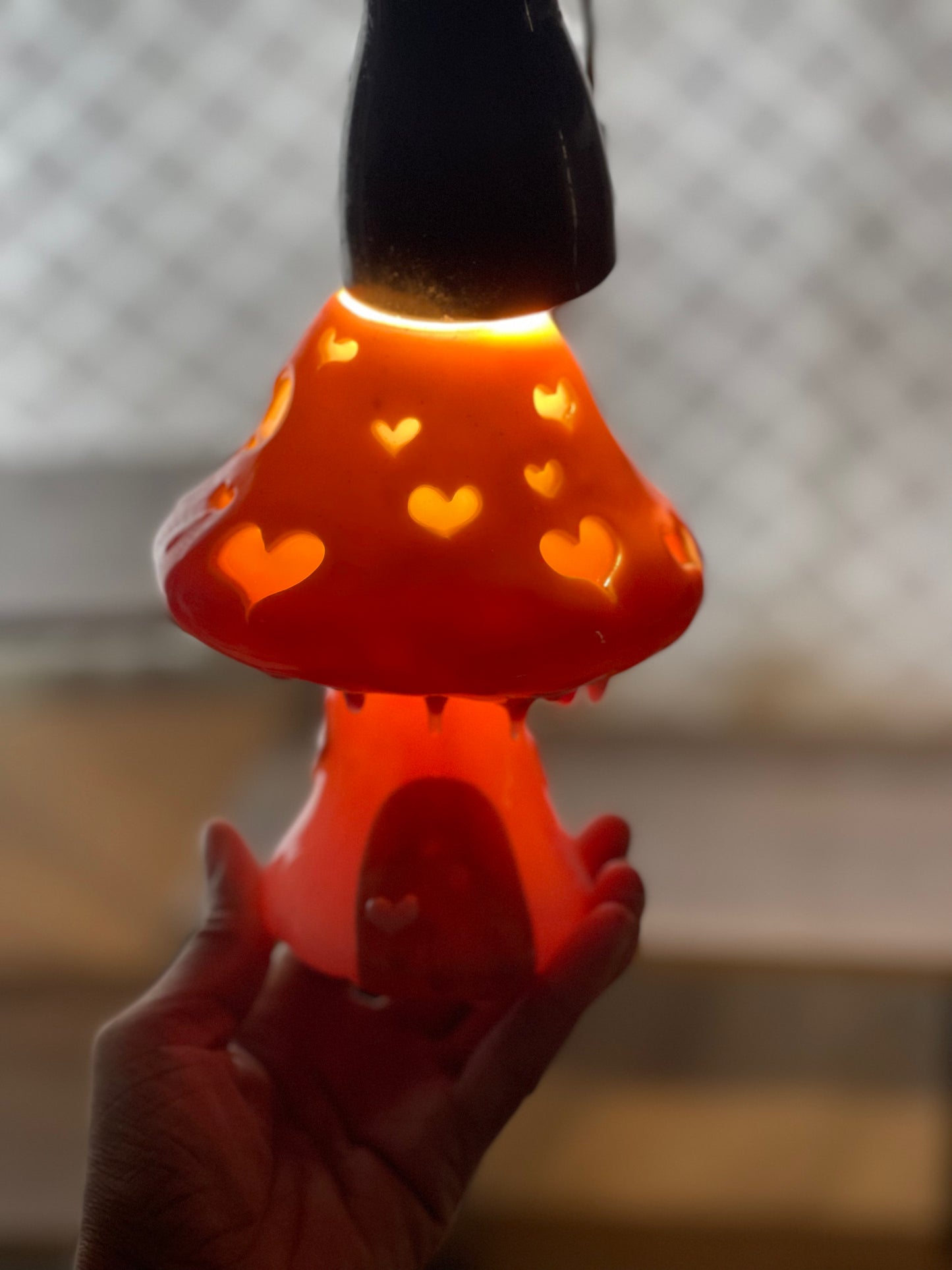 Lovely Toadstool House