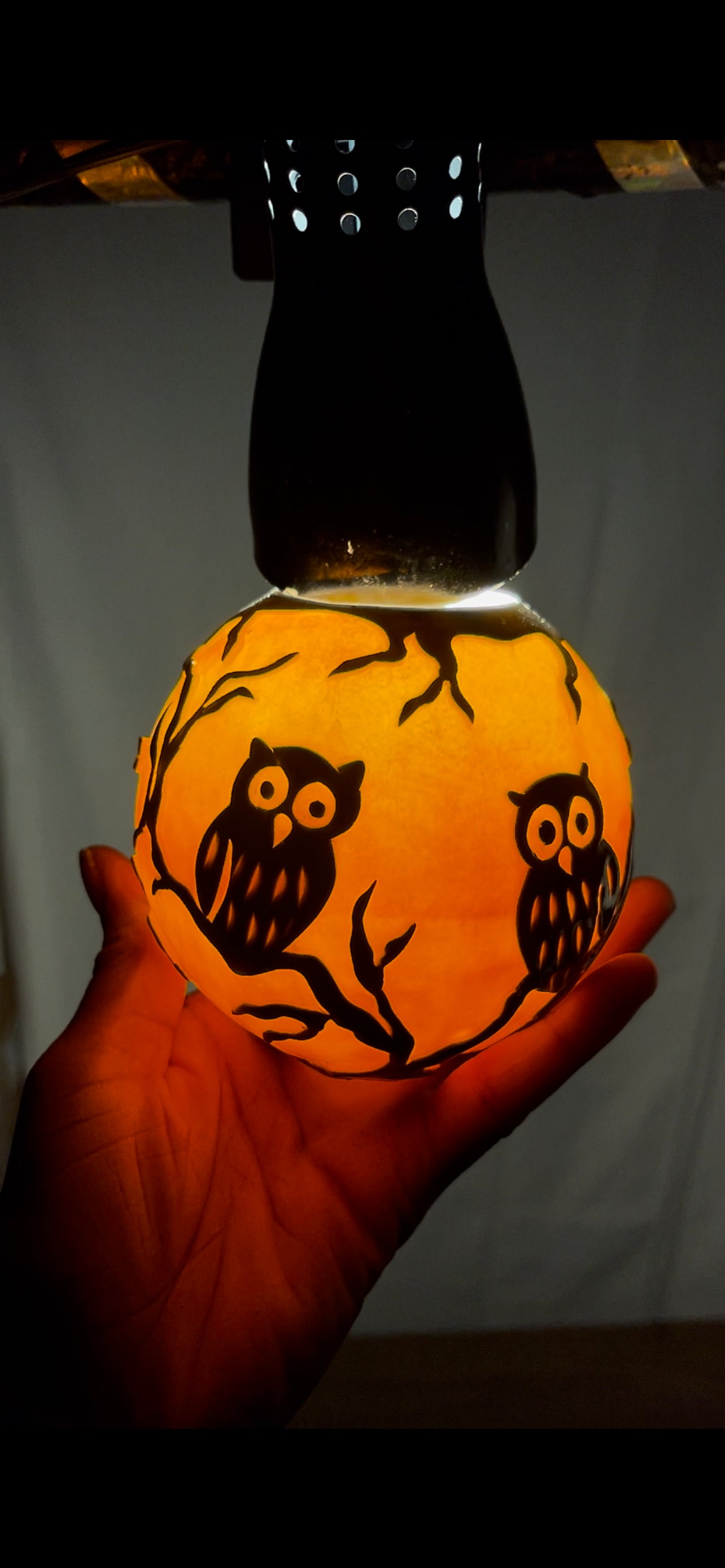 Sunset Owls