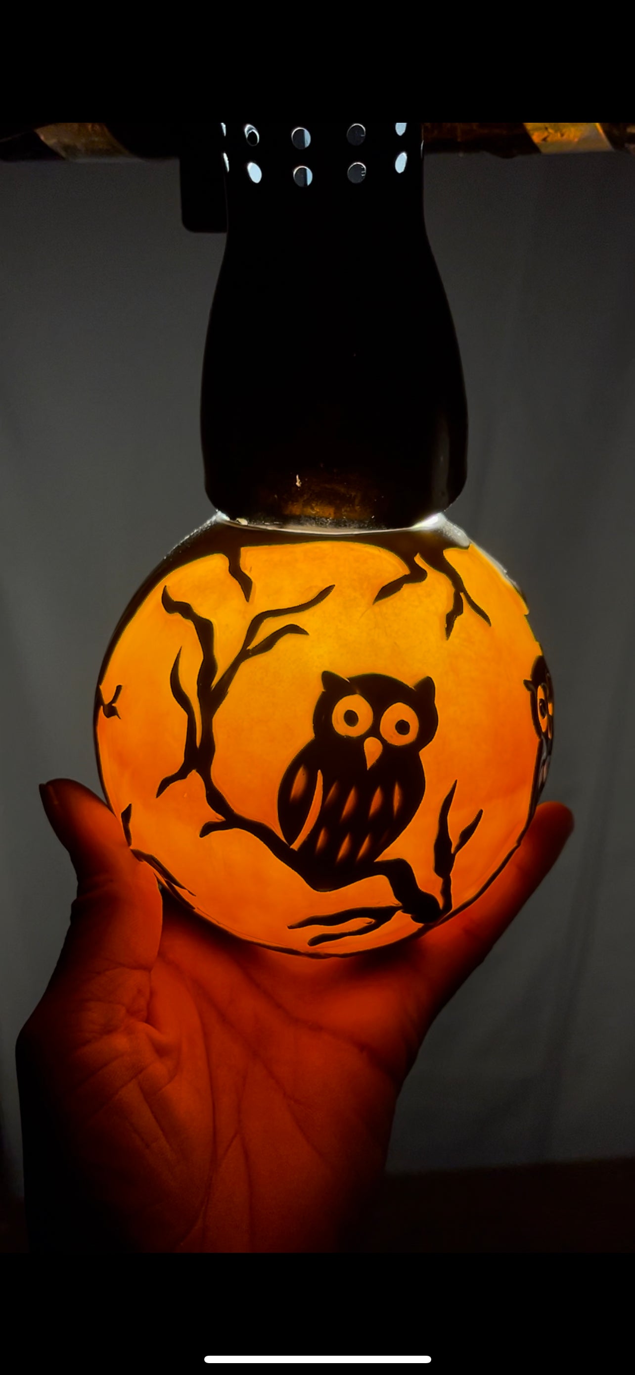 Sunset Owls
