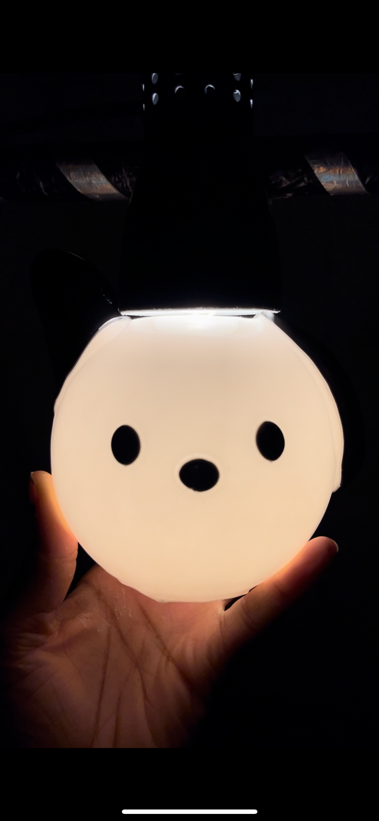 Pochacco