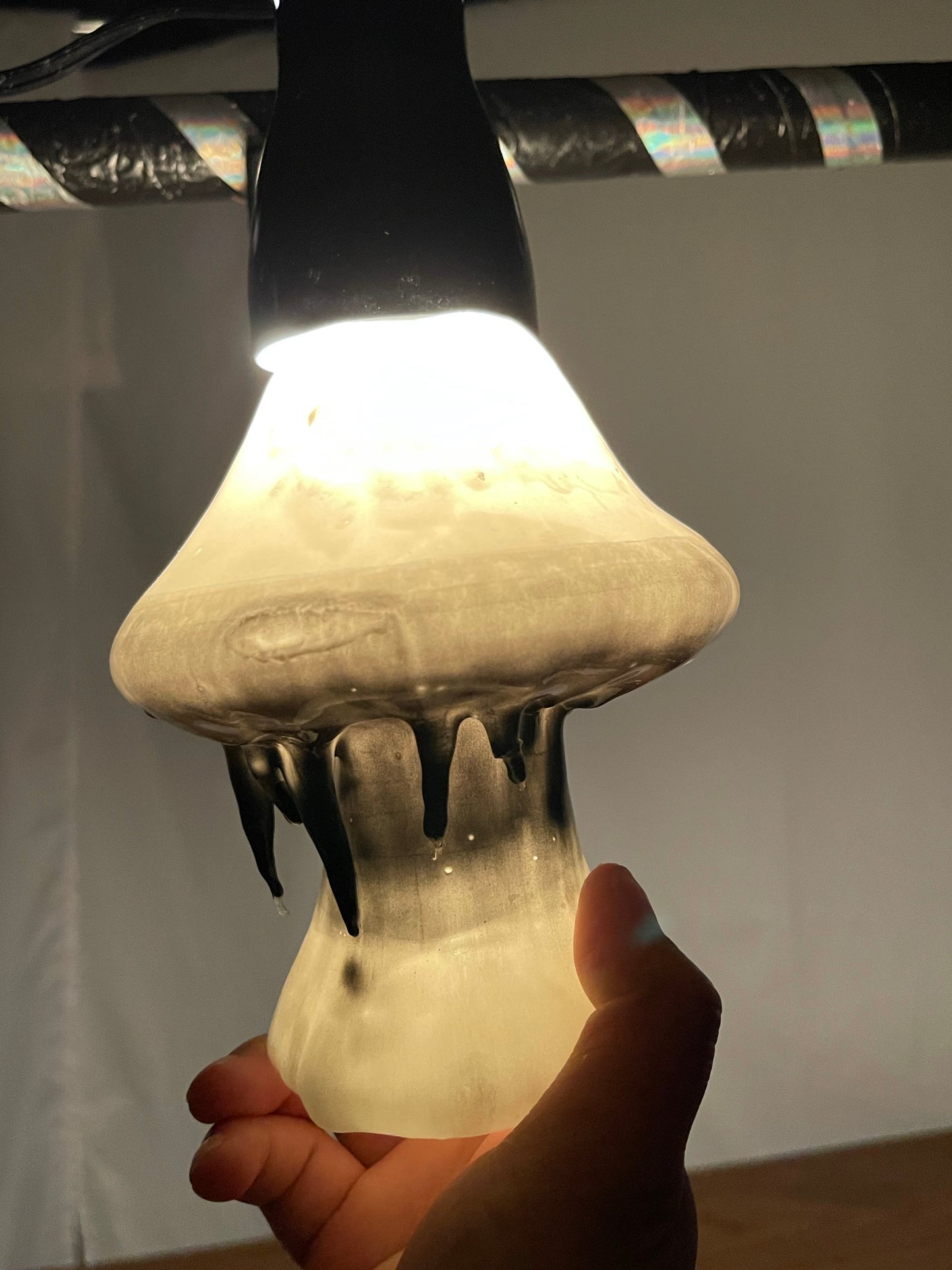 Inky Cap Mushroom