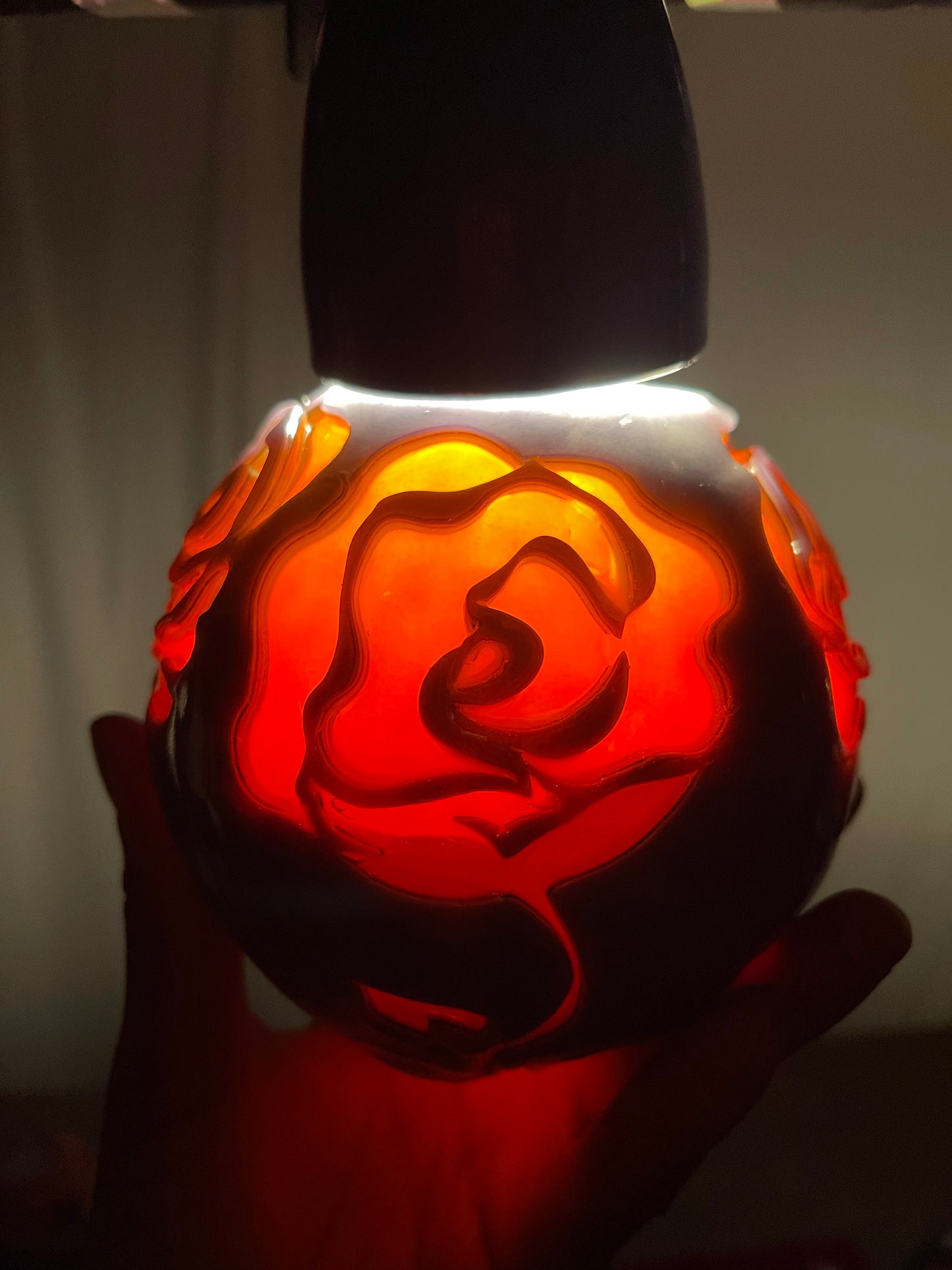 Rosas al atardecer