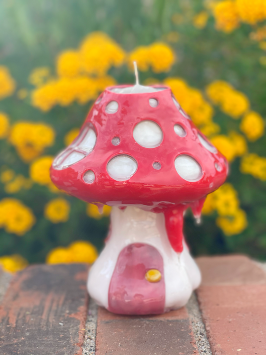 Toadstool house