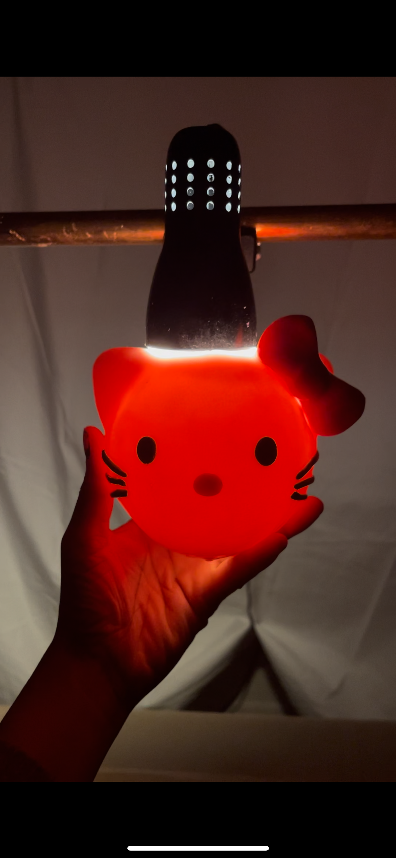 Hola gatito