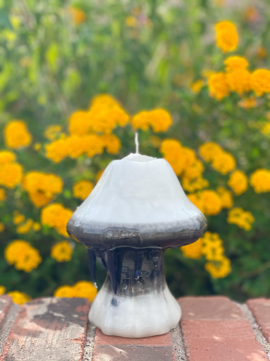 Inky Cap Mushroom