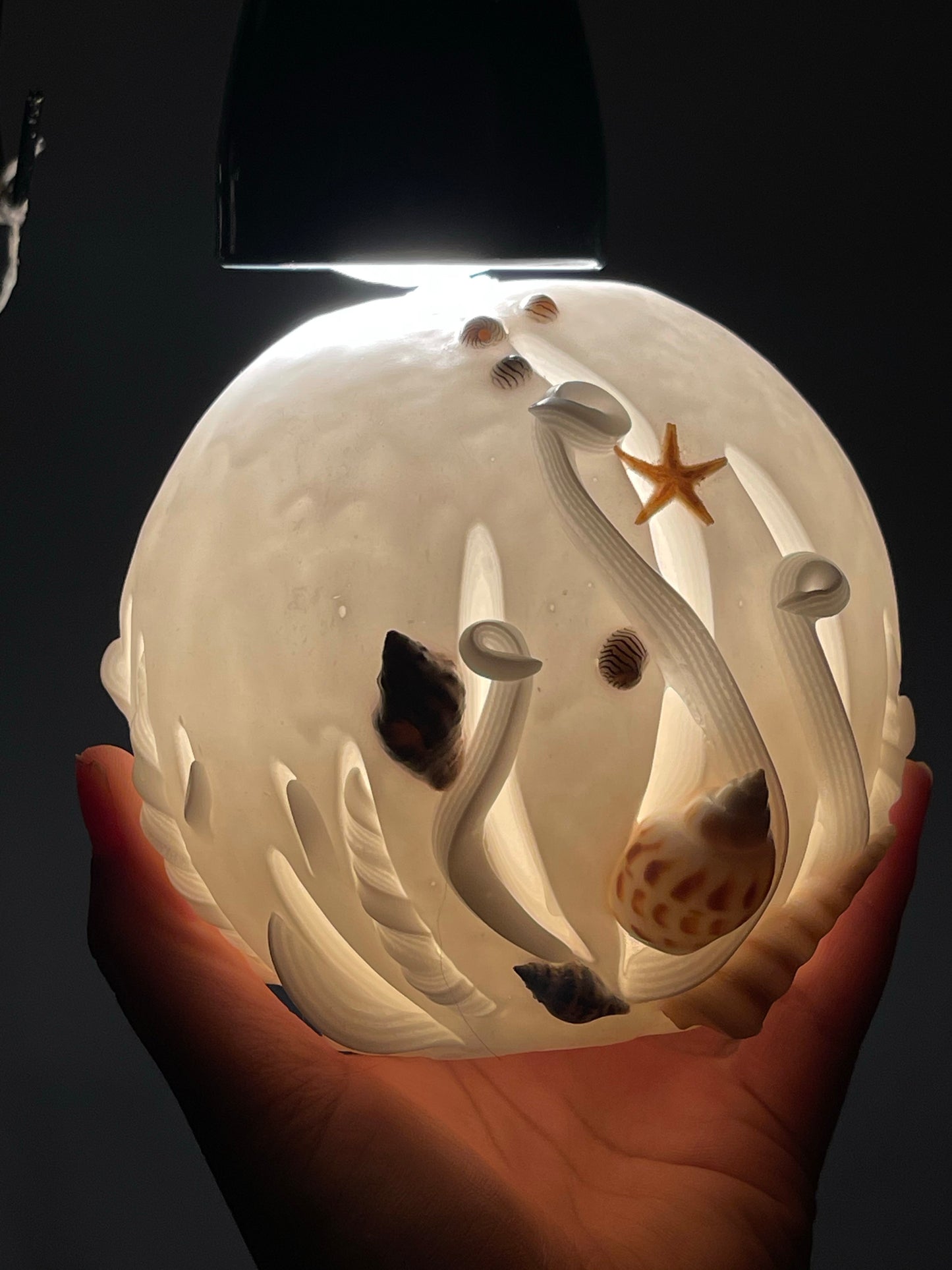 Seashell