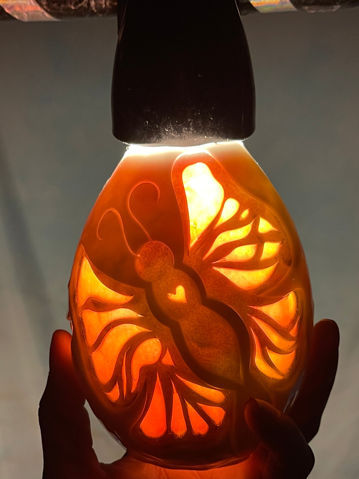 Mariposa floral