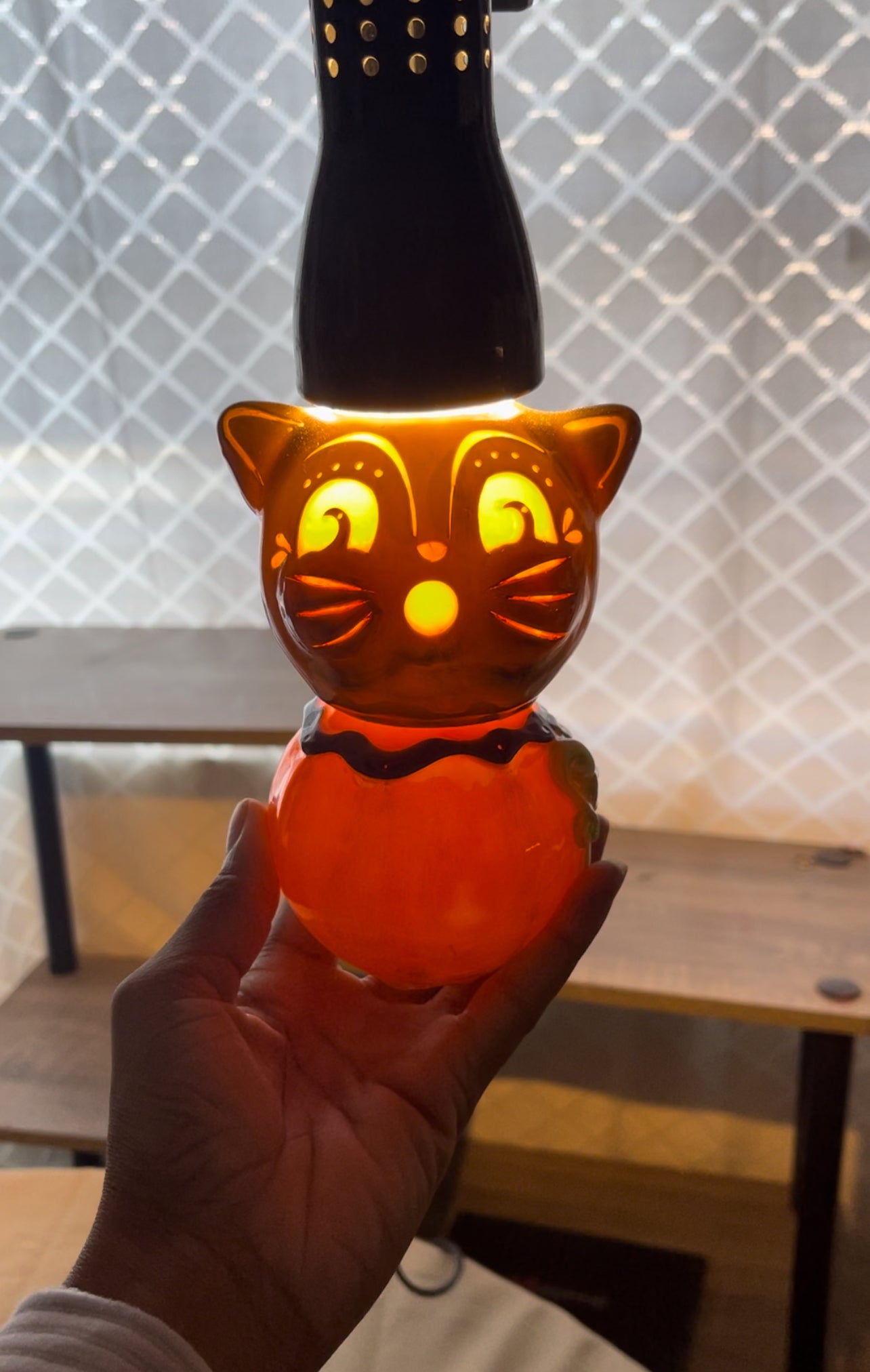 Pumpkin Cat Jack in collab w/ Johanna Parker