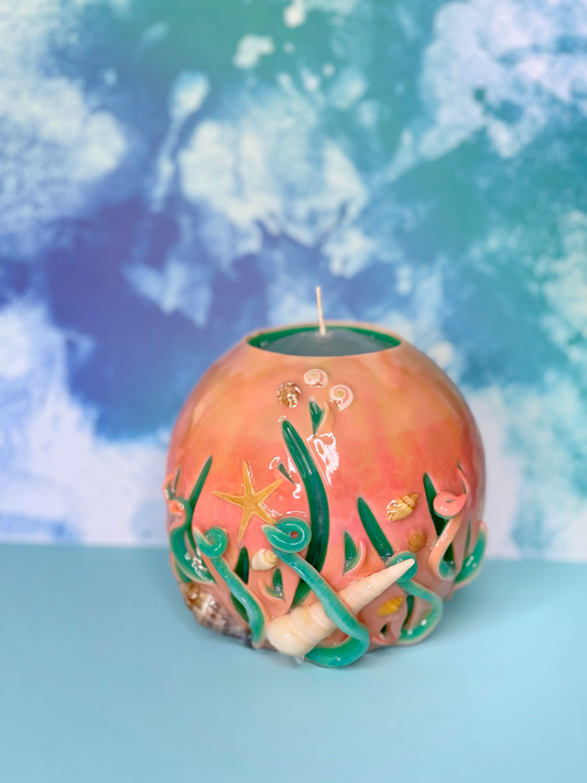 Peachy Seashell